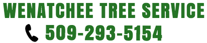 Wenatchee Tree Service - Tree Removal Wenatchee, Leavenworth, Chelan
